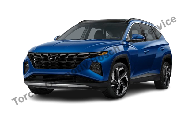 İzmir Hyundai Servisi