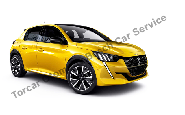 İzmir Peugeot Servisi